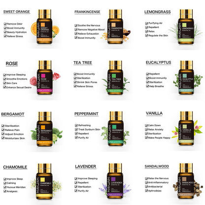 Essential Oils Gift Box 20 Bottles – Aromatherapy Collection | Mayjam